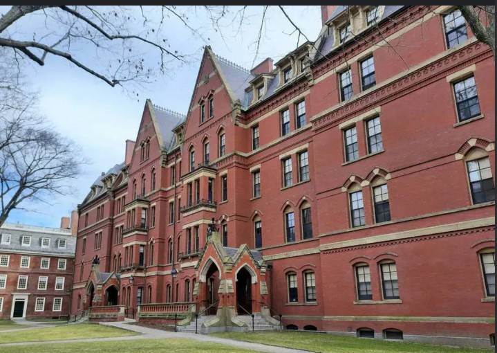 Harvard ploughs $250m into research after US govt cuts