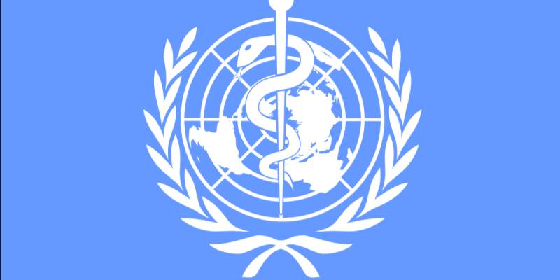WHO slashes management team after US funding cuts