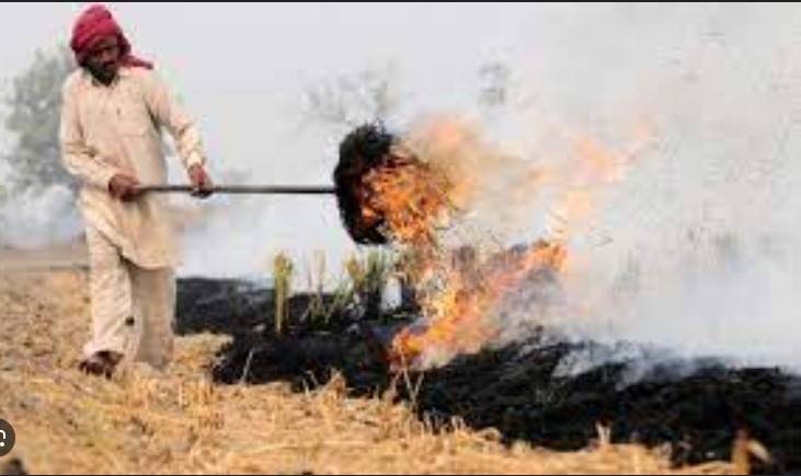 Govt response under way after farmers burn stubble along motorway 