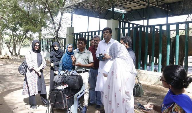 Karachi Safari Park elephants showing signs of recovery after TB treatment