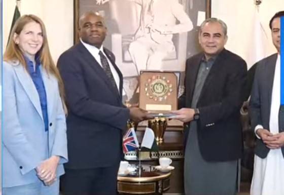 Pakistan is a bulwark against terrorism, says Naqvi in talks with UK secy