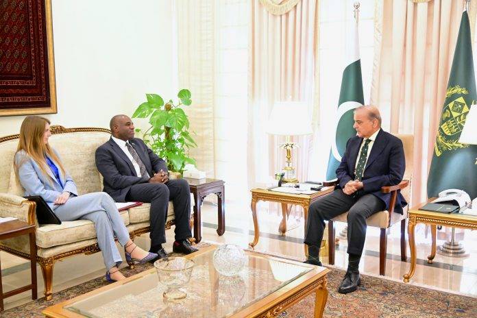 UK foreign secretary meets PM Shehbaz, reaffirms support for regional peace