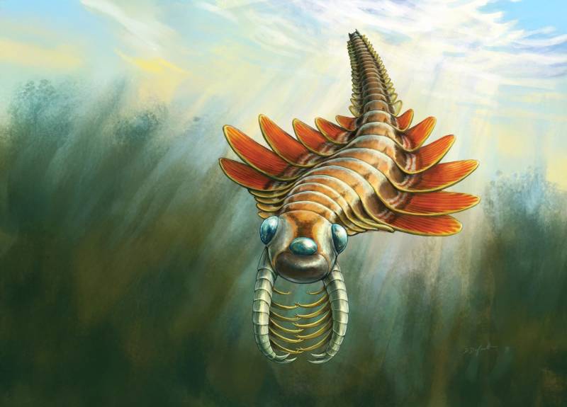 Scientists unveil 500-million-year-old, three-eyed sea predator with razor-like claws