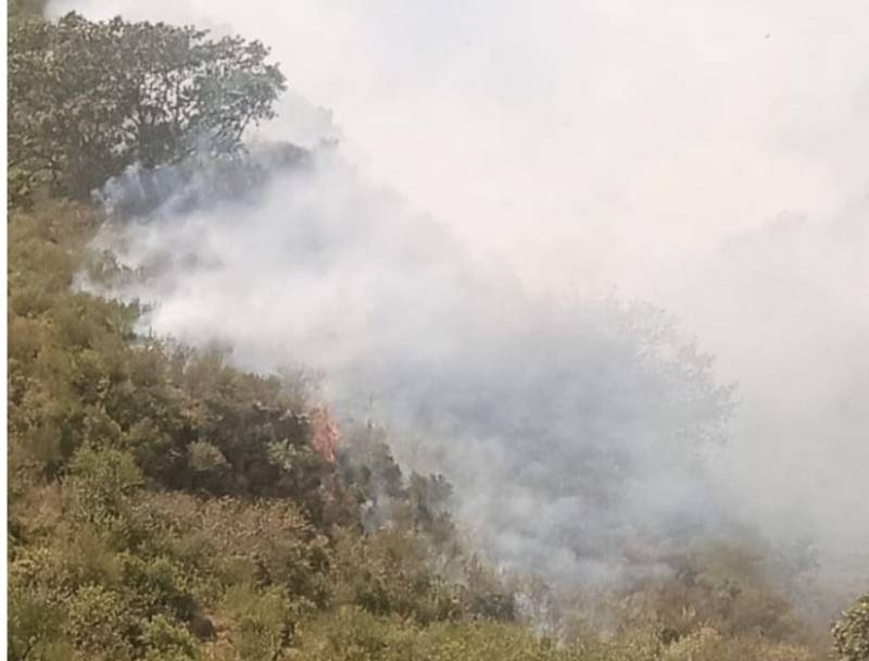 Wildfire breaks out again on Margalla Hills