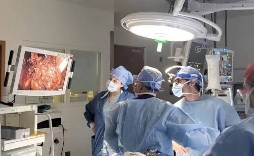 World’s first human bladder transplant marks breakthrough in organ transplantation
