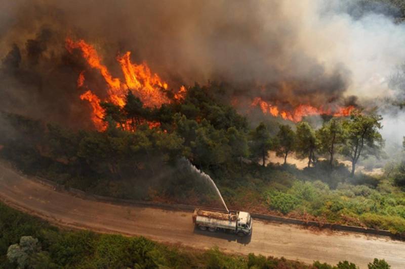 'Red alert': Fires drive tropical forest loss to record high