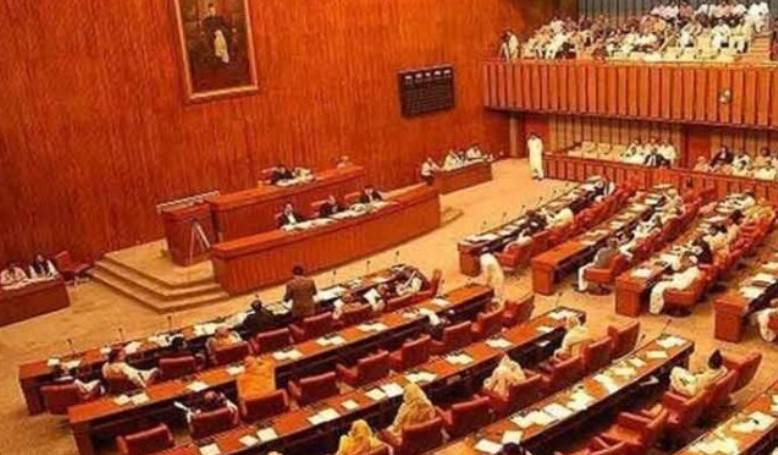 Senators denounce Khuzdar terror attack, call for stronger defence