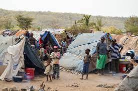 Haiti slams 'xenophobic' deportation drive by Dominican Republic