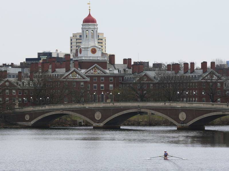 Judge temporarily halts Trump block on foreign students at Harvard
