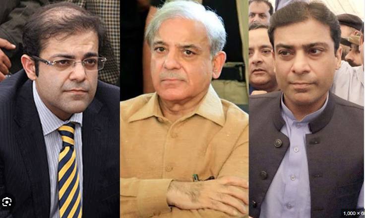 LHC rejects pleas filed against PM Shehbaz, sons' acquittal in graft case 