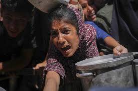 UN chief says Gaza war in 'cruelest phase' as aid trucks looted