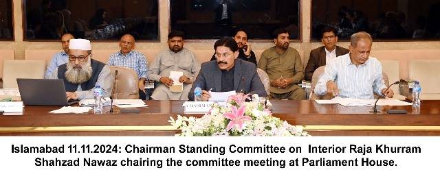 NA committee on interior rejects criminal law amendment bill 