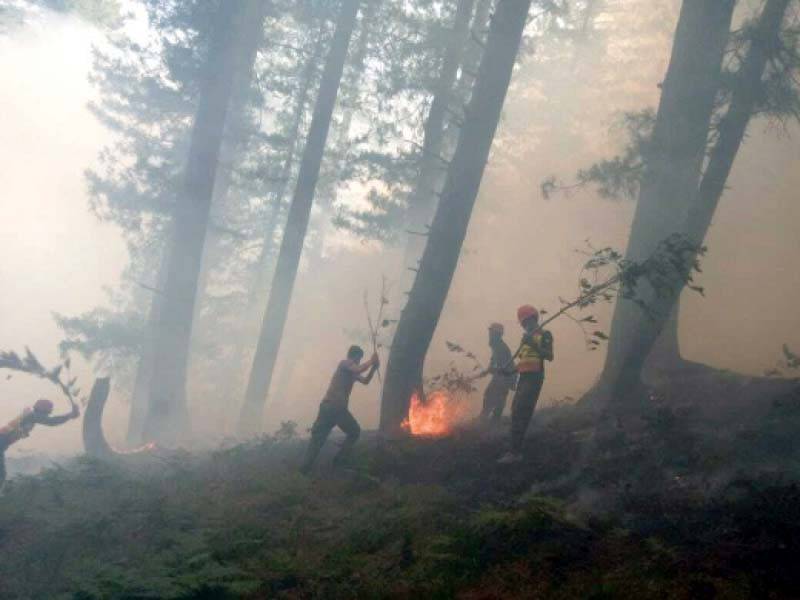 Wildlife official dies as fire erupts in Swat jungle