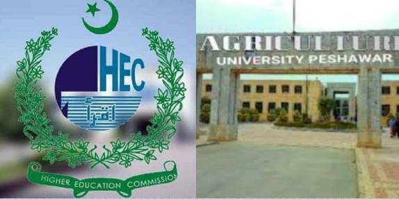 HEC forms body for ranking of universities in KP