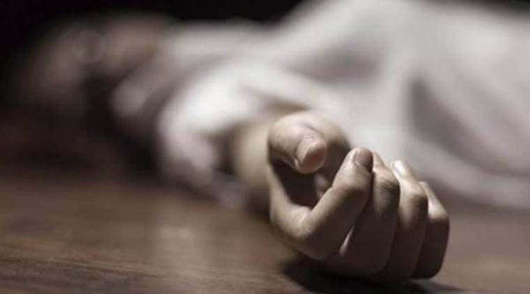 Money dispute: Man kills sister in Narang Mandi