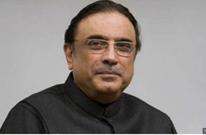 PPP MPAs call on President Zardari in Lahore