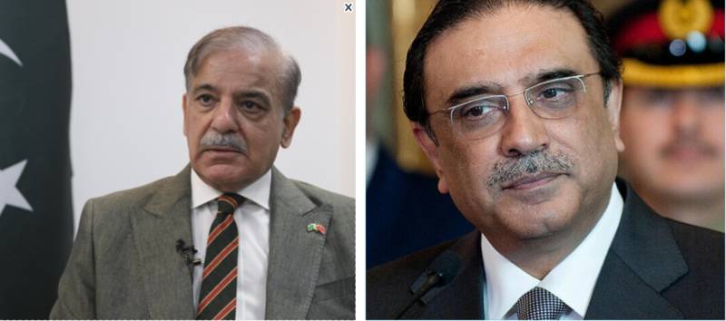 PM Shehbaz calls on President Zardari in Lahore