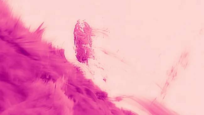 Pink 'raindrops' on sun captured in detail