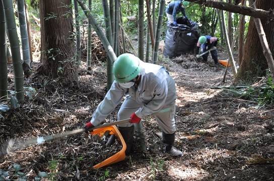 Recycling contaminated soil from Fukushima: Japan's dilemma