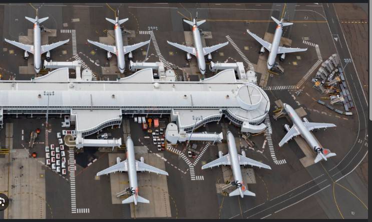 Airlines less optimistic for 2025, facing 'headwinds': IATA