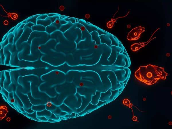 Another life lost to Naegleria in Karachi; death toll rises to two this year