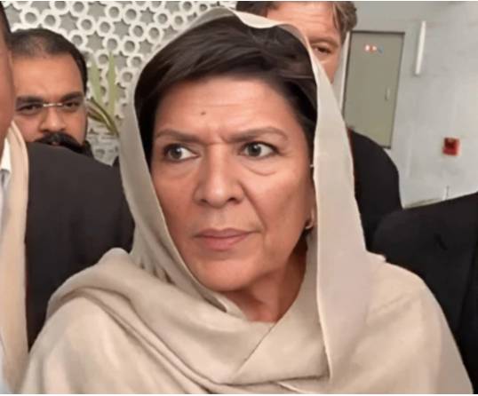 NCCIA sends notice to Aleema Khan for posting anti-state content