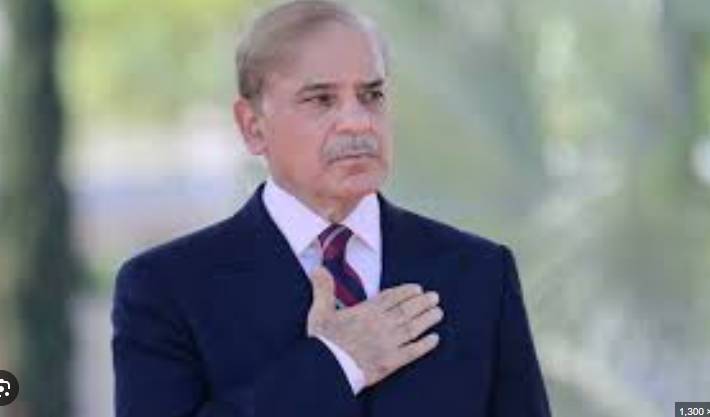 Pakistan will foil Indian water aggression with full force, says PM Shehbaz