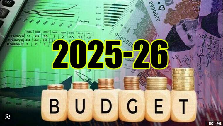 Number of proposals made for national budget for FY 2025-26 