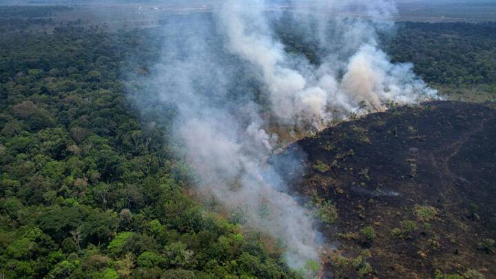 Brazil fires drive acceleration in Amazon deforestation: report