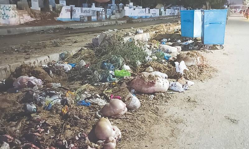 Police crackdown on Eid offal dumping; Four arrested in Karachi
