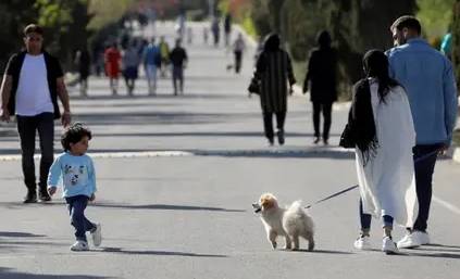 Iran authorities expand dog walking ban