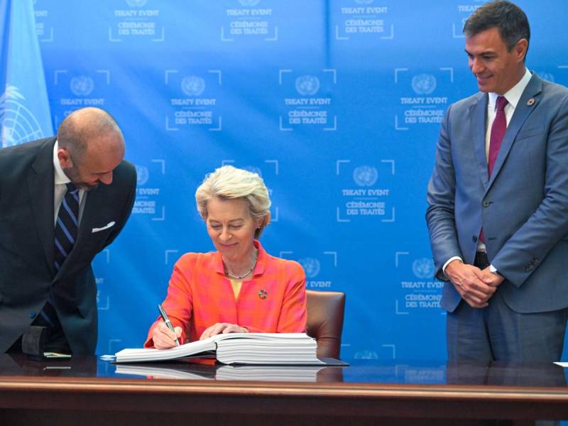 What is the high seas treaty?