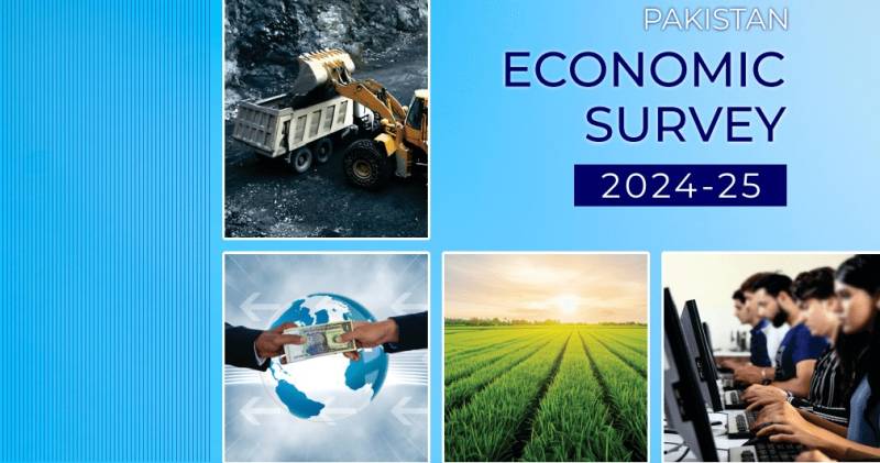 Pakistan’s Economic Survey 2024-25: Unveiling the facade of growth