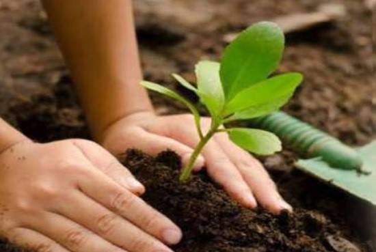 Rs5467.3 million allocated for environmental, urban development projects