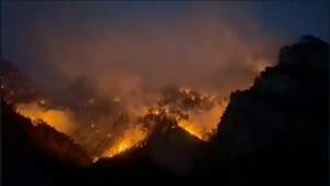 Third devastating blaze in Zhob’s pine nut forests in 20 days