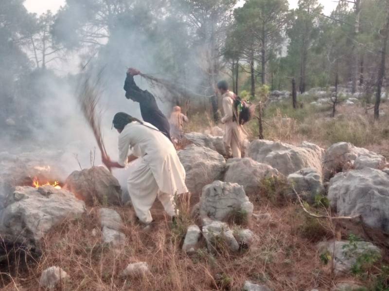 Heatwave triggers multiple fires on Margalla Hills