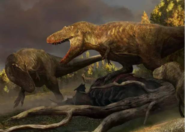 New T-Rex ancestor discovered in drawers of Mongolian institute