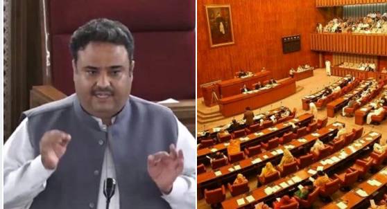 Senate shaken as questions raised over govt advisors' role