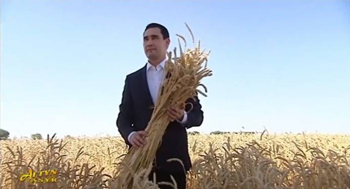 Turkmenistan names high-yield wheat after its leaders