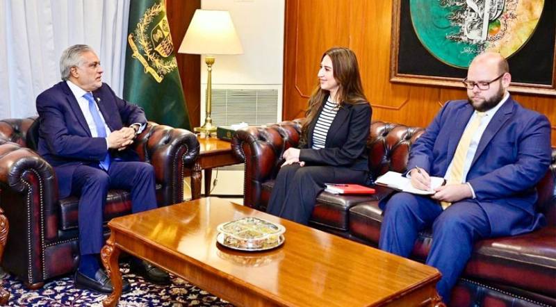 US Chargé d'Affaires Natalie Baker calls on DPM