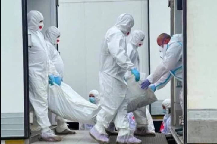 Ukraine says received 1,200 bodies from Russia