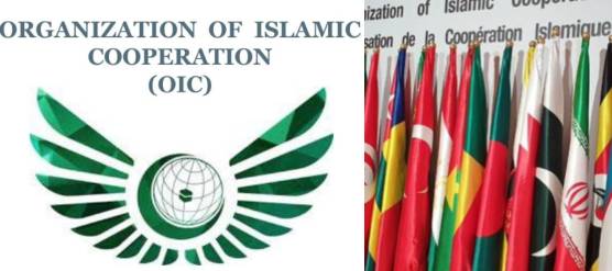 OIC condemns Israeli aggression on Iran, calls for urgent global action