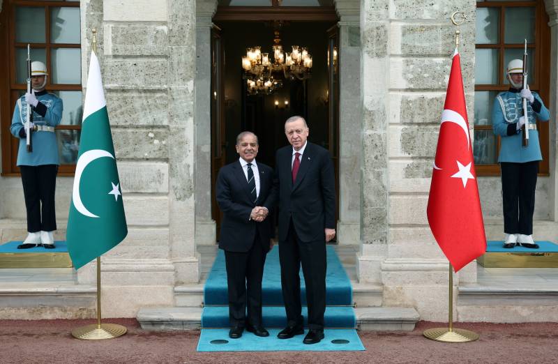 PM Shehbaz discusses regional situation with Turkiye president