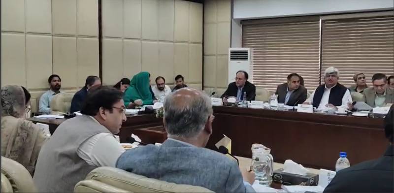 Senate body on Finance raises concerns over giving arrest powers to FBR under Finance Bill 2025-26 