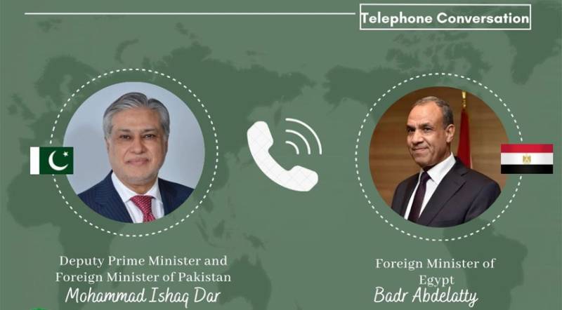 Ishaq Dar meets Egyptian FM Badr Abdelatty