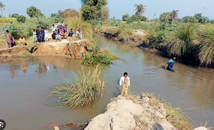 Ghotki canal breach destroys crops