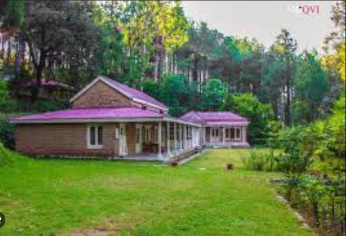 Tourism Department announces vacant posts 