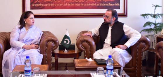 BISP chief meets Ch Salik to discuss Benazir Hunarmand Program