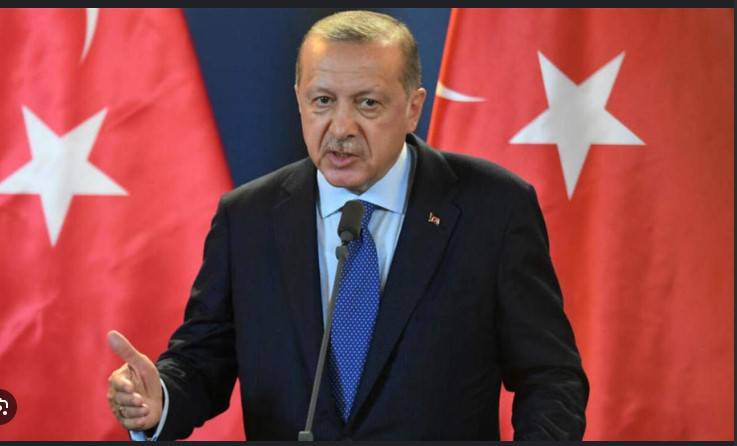 Iran has 'legitimate' right to self-defence: Erdogan