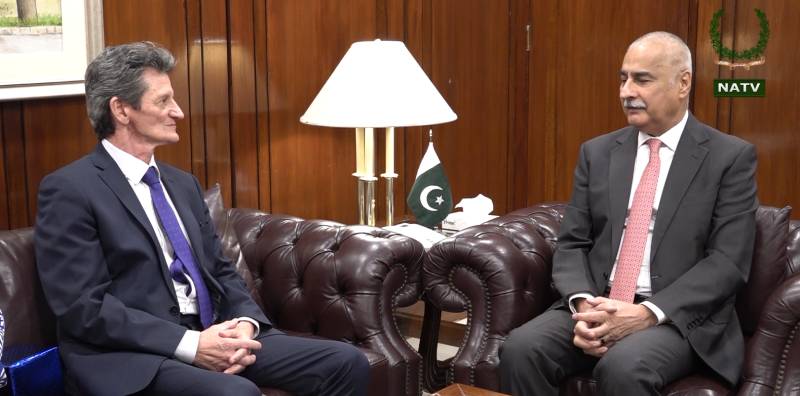 Outgoing Hungarian envoy calls on NA Speaker Ayaz Sadiq